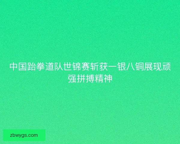 中国跆拳道队世锦赛斩获一银八铜展现顽强拼搏精神 中国跆拳道队世锦赛斩获一银八铜展现顽强拼搏精神
