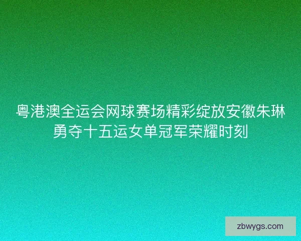 粤港澳全运会网球赛场精彩绽放安徽朱琳勇夺十五运女单冠军荣耀时刻